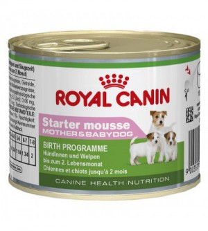 Royal Canin Starter Mousse Tin