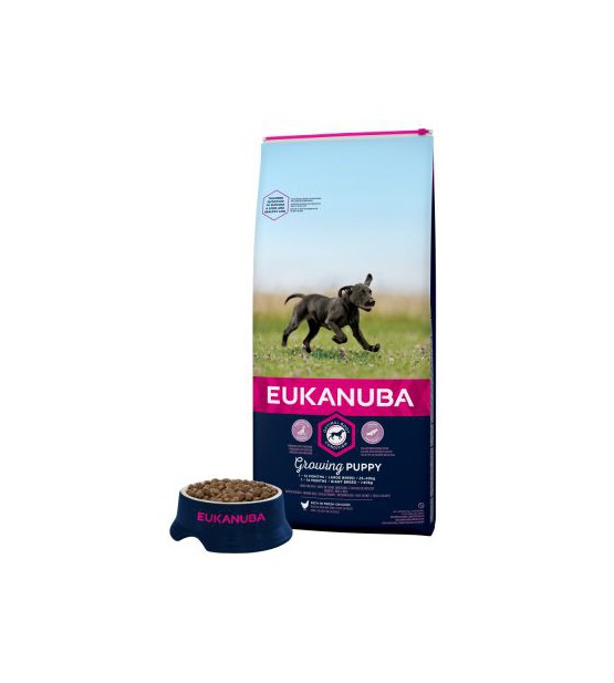 eukanuba 20kg