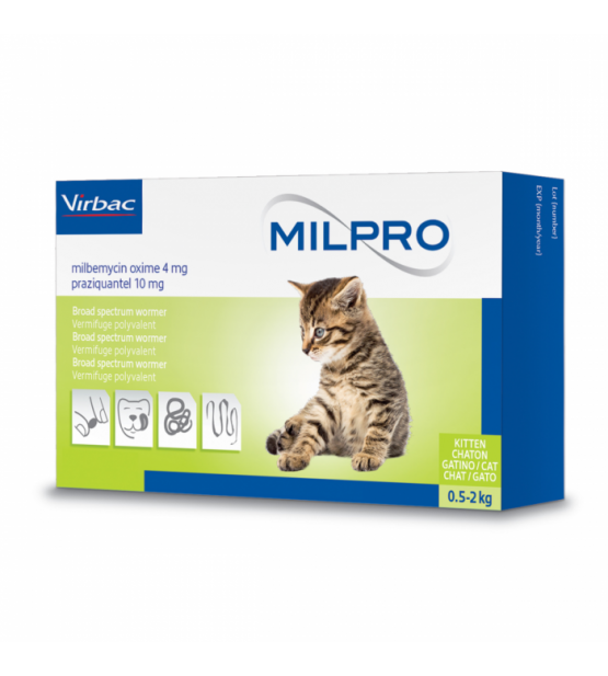 MILPRO 4 mg/10 mg, plėvele dengtos tabletės kačiukams ir mažoms katėms, N4