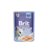 BRIT PREMIUM Cat Delicate Salm/Jelly konservai katėms 85g