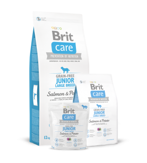Brit Care Grain-free Junior Large Breed Salmon & Potato sausas maistas šunims