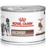 Royal Canin VD Dog/Cat Recovery 195g
