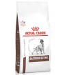Royal Canin VD Dog Gastro Intestinal