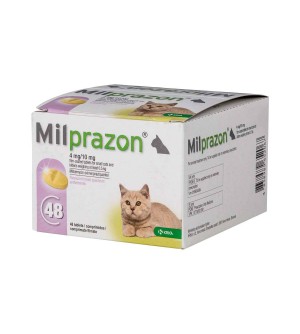 Milprazon 4mg/10mg kačiukams, N1