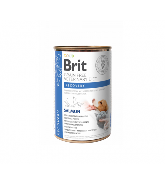 Brit GF Veterinary Diets Rcovery konservai šunims ir katėms, 400g