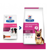 Hill's PD Canine Gastrointestinal Biome sausas pašaras šunims