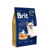Brit Premium Cat Adult Salmon sausas maistas katėms