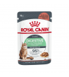 Royal Canin Digest Sensitive pouch