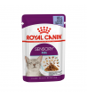 ROYAL CANIN FHN SENSORY FEEL GRAVY konservoutas maistas katėms