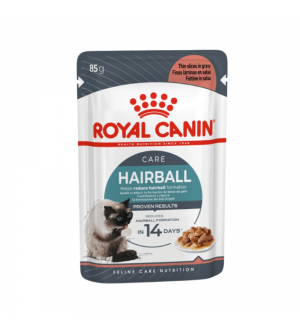 Royal Canin Hairball Care in Gravy pouch