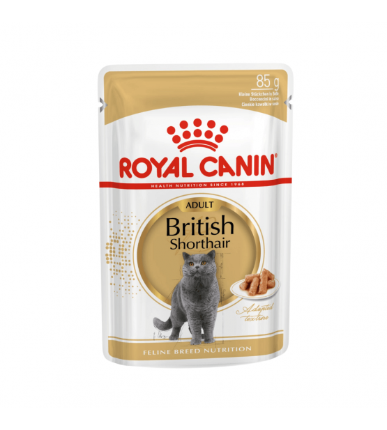Royal Canin British Shorthair konservai katėms