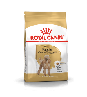 Royal Canin Poodle Adult sausas pašaras šunims