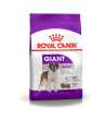 Royal Canin Giant Adult sausas maistas šunims