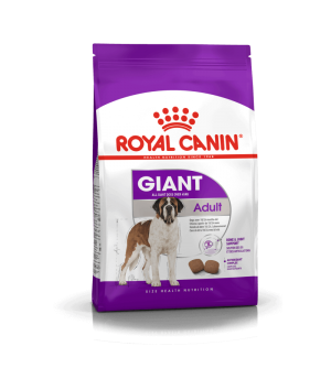 Royal Canin Giant Adult sausas maistas šunims