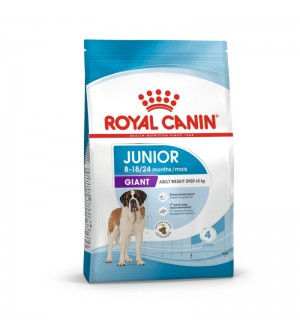 Royal Canin Giant Junior sausas maistas šunims