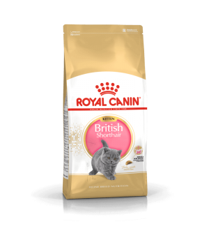 Royal Canin British Shorthair Kitten sausas maistas katėms