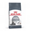 Royal Canin Dental Care sausas pašaras katėms