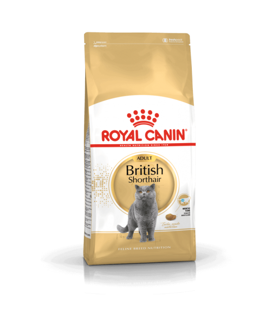 Royal Canin British Shorthair Adult sausas pašaras katėms