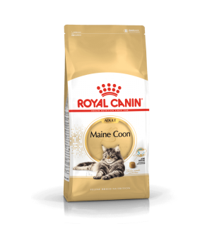 Royal Canin Maine Coon Adult sausas pašaras katėms