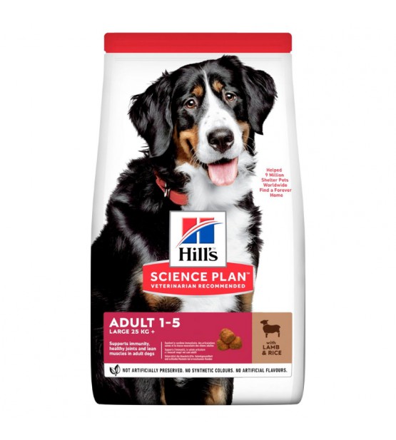 Hills Sp Canine Adult Large Breed Lamb & Rice sausas maistas šunims