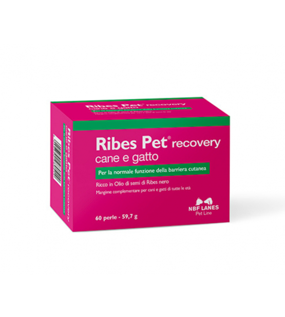 NBF Lanes Ribes Pet Recovery pašaro papildas šunims ir katėms