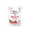 Brit Care Insects with Lamb skanėstas su ėriena šunims